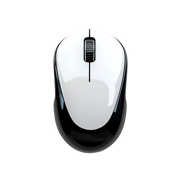 Mouse
