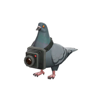 Bird's Eye Viewer